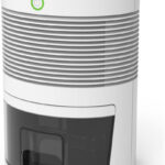 Desumidificador de Ambiente Elétrico Antimofo Drysec Bivolt